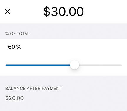 Choose an amount for this partial payment